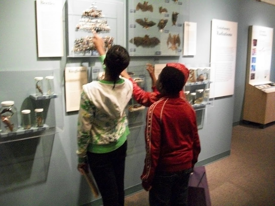 Peabody Museum April Trips